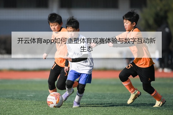 img_1777454636327_277_1_386.jpg